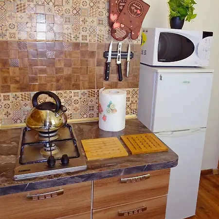 Old Riharda Vagnera Apartment Riga