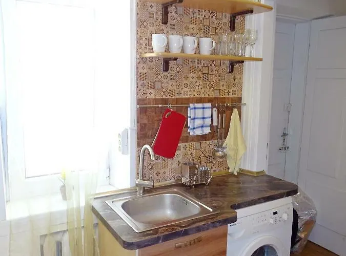 Old Riharda Vagnera Apartment Riga